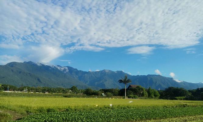 美丽的田园风光（生命在田园里）