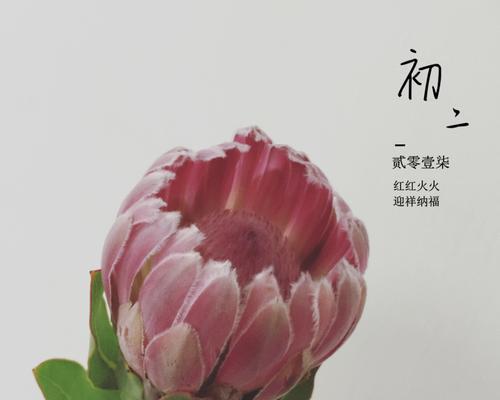 团圆之夜（春节里的温暖）