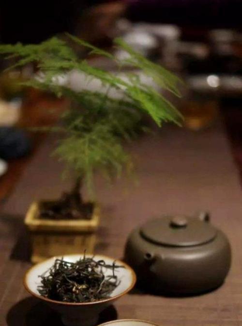 茶道（一位年轻男孩发现茶的奥秘）