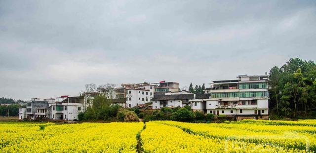 故乡美景（乡村风光，人间仙境）