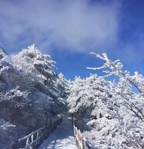 探索雪中世界，发现不一样的美景（探索雪中世界，发现不一样的美景）