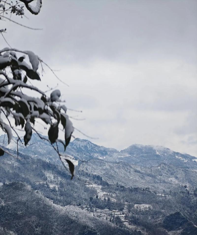 故乡的那场雪（一场温馨、感人的故事）