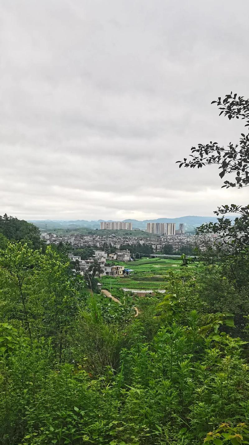 给自己一点掌声（付出、坚持、自信）