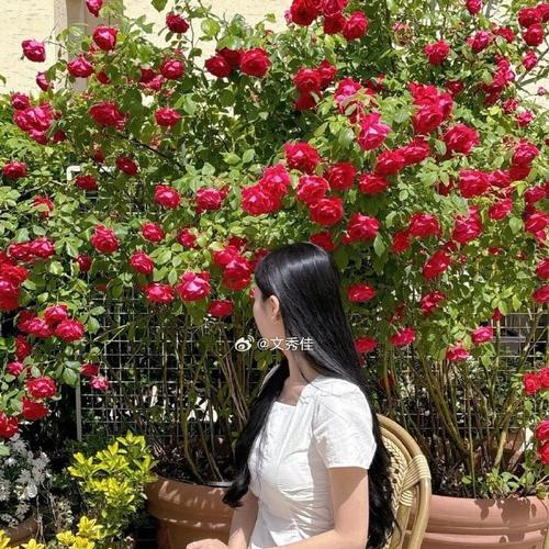 走进无忧无虑的世界（心情如风轻松畅快）