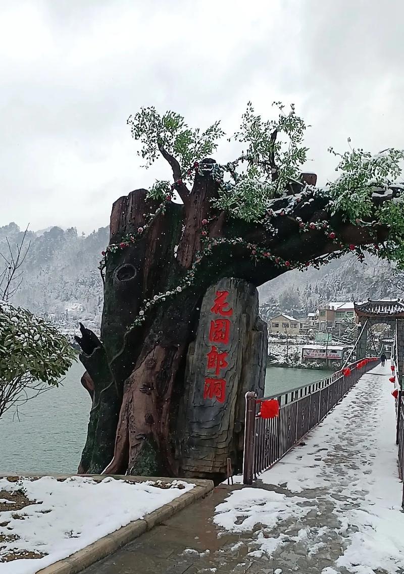 又见冬天雪——一场别样的邂逅（描绘雪景，温暖人心，让我们一起感受这场别样的邂逅。）