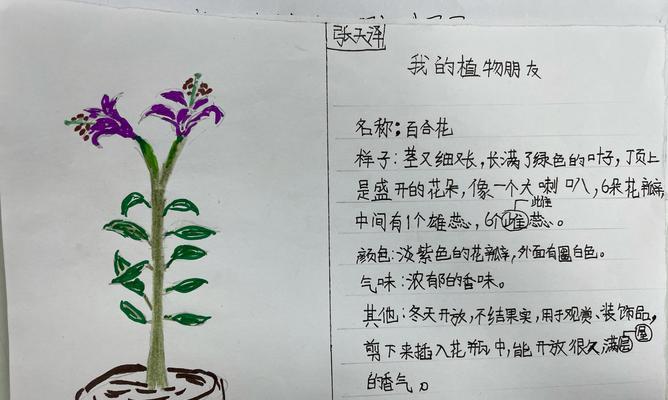 我的植物朋友（陪伴、成长、快乐）