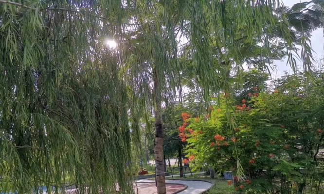 风景背后的故事（走过的每一步，都有它独特的故事）