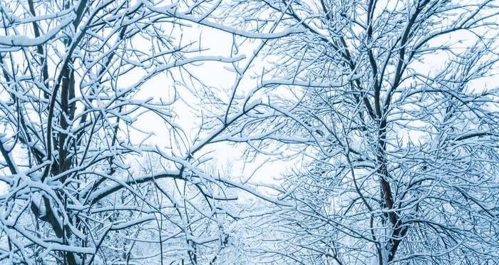 冬日的雪景（雪中故事）