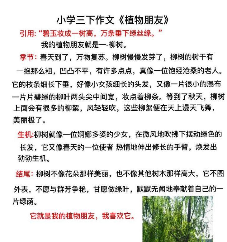 以树为伴，与花为友，我在三年级的成长故事（以树为伴，与花为友，我在三年级的成长故事）
