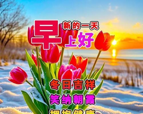 在温暖中感受幸福的力量（在温暖中感受幸福的力量）