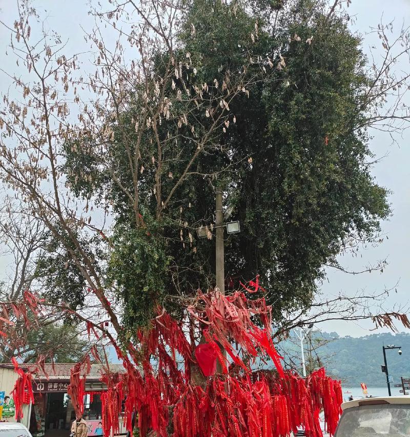 阳光下的花园（用温暖和美好装点生活的小确幸）