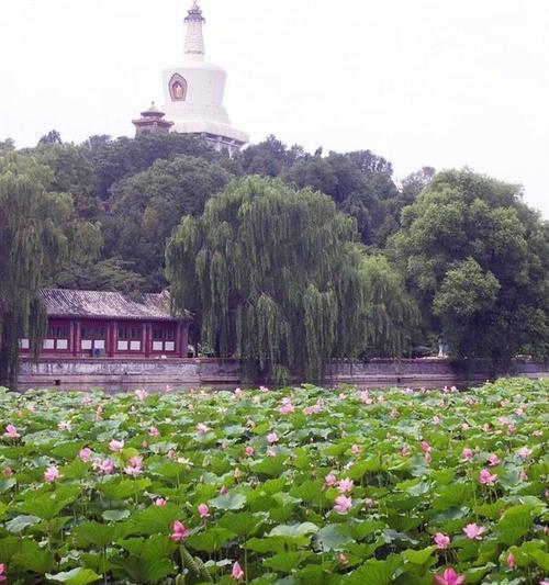 与美好不期而遇——一个恋爱故事（相遇、相知、相爱，那些美好瞬间）