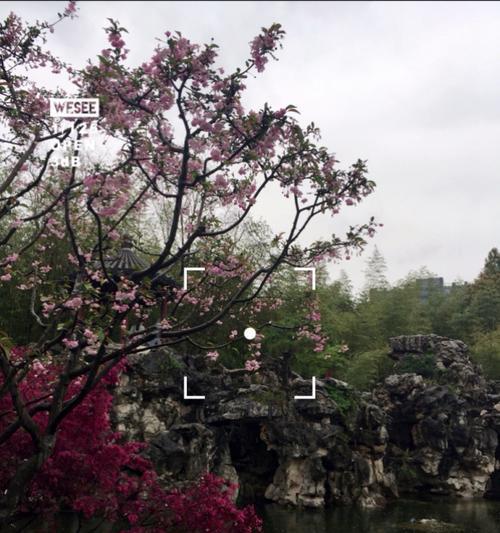 宁静之美（静谧，让内心深处的花儿开放）