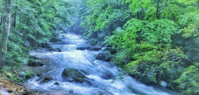 我的生命就像一条溪流（穿越风雨，迎接阳光）