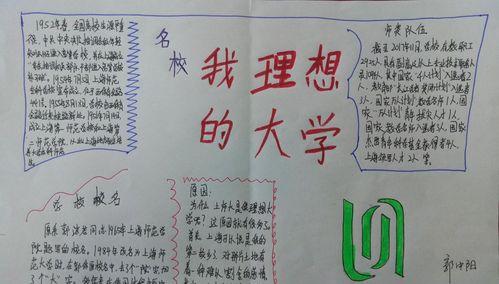 我的大学梦：追寻梦想的奋斗之路