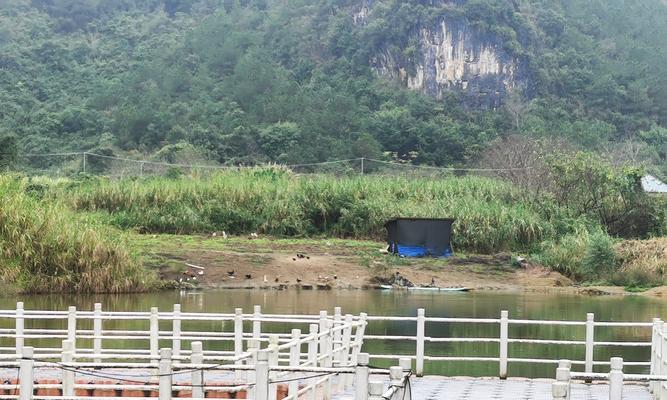 坚定地向前走，勇往直前（勇敢的少年，不断追求梦想）