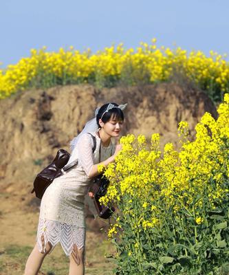 SpringBlossoms:EmbracingtheRenewalofLife