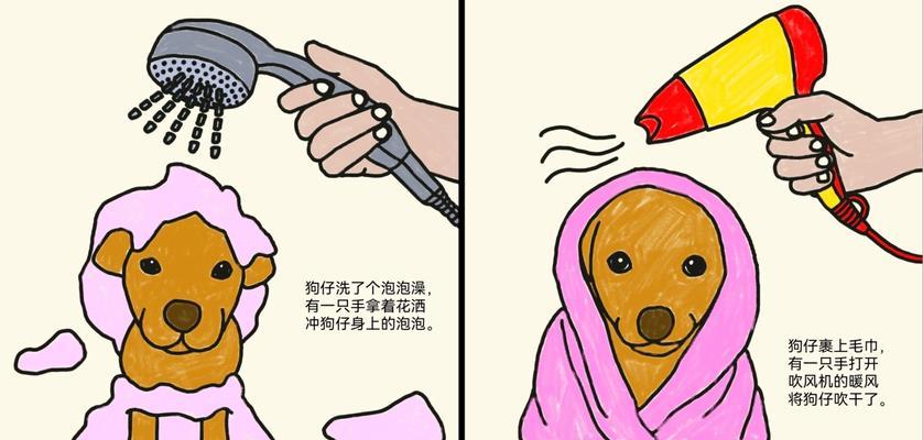 《小狗的成长之路》