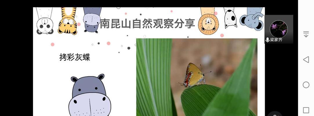 流淌的生命，漫长而美丽（流淌的生命，漫长而美丽）