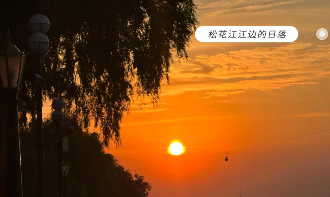 生活中的美好瞬间（每个人都有自己的美好回忆）