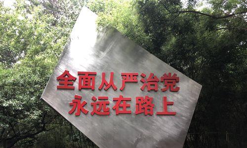 警醒自己，母恩莫忘（从一个母亲的故事中，唤起感悟）