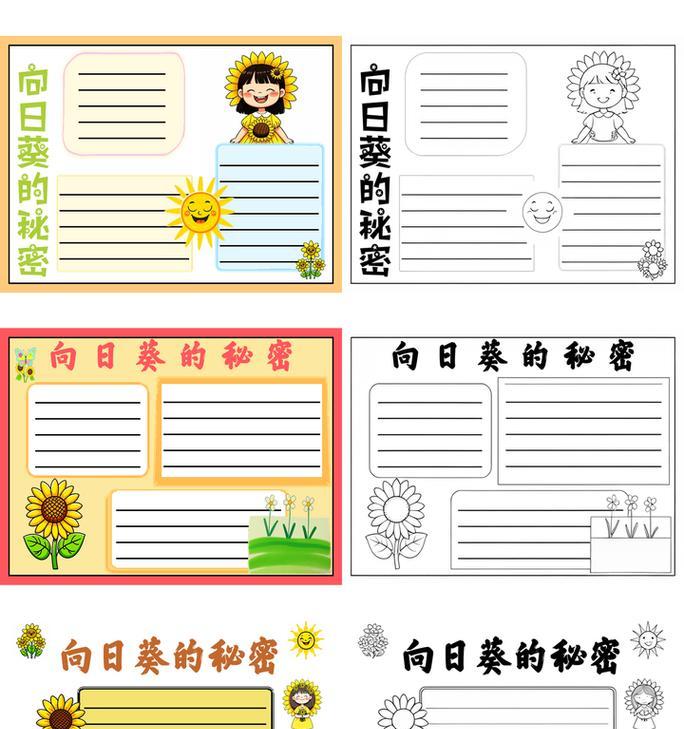 阳光下的勇气（向日葵的成长之路）