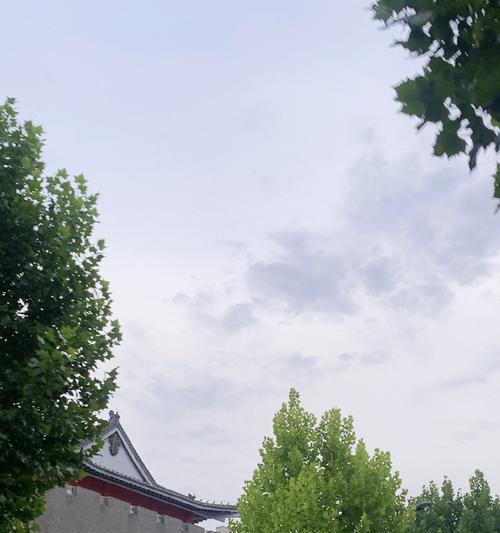 清新空气——人间瑰宝