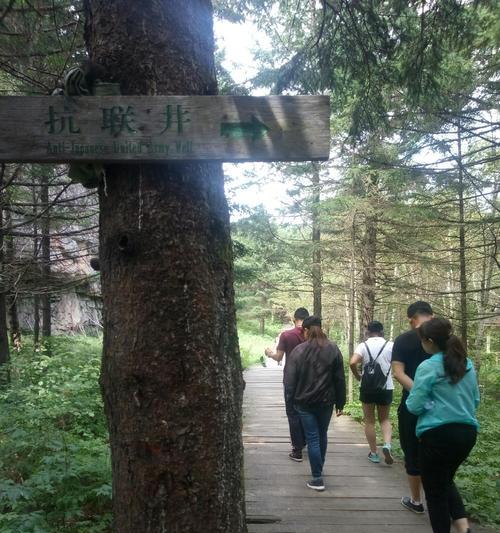 我的故乡情——一个让我终身难忘的记忆