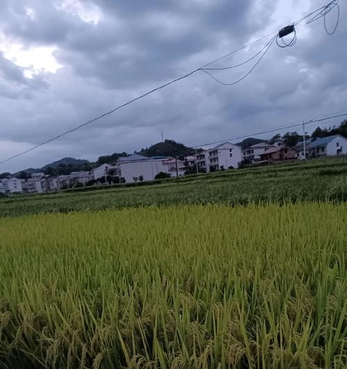 我爱故乡美丽风景下的故事（一个梦幻般的地方，一个心灵的净土）