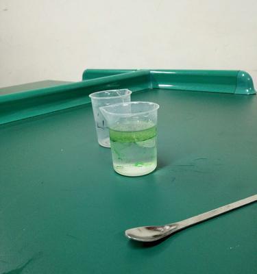 小学生的科学实验（自己动手，科学不止于课堂）