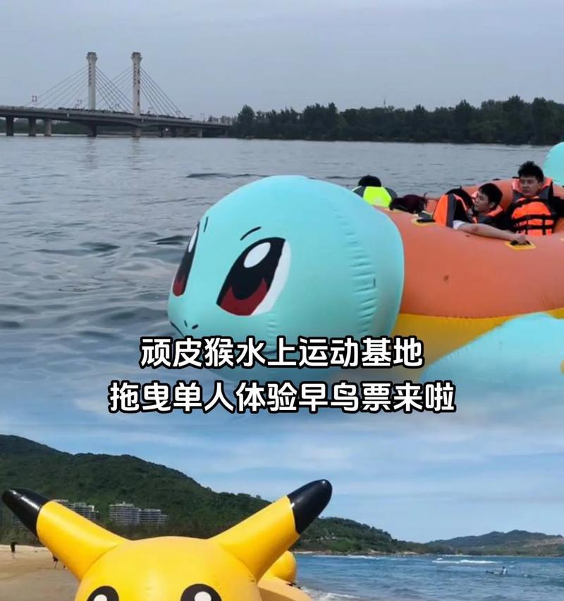 飞跃危险的边缘（一段勇气与执着的故事）