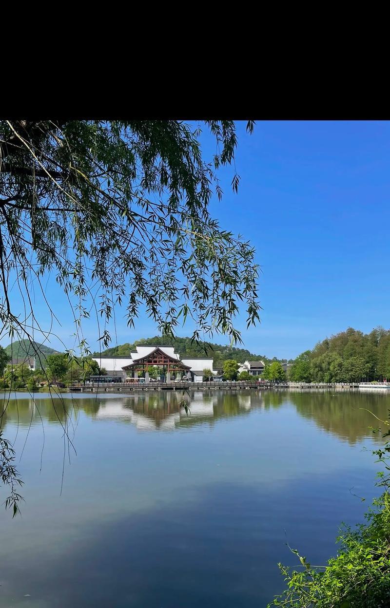 岁月多了温暖，因为你的陪伴（一个陌生人的关怀）
