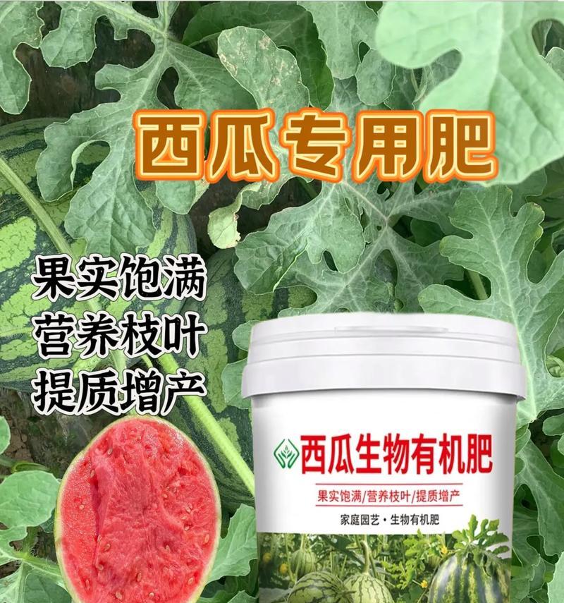 西瓜的故事——一个小镇的传奇