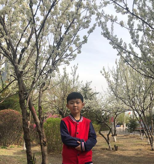 他是我的榜样（学习他的勇气和坚持）