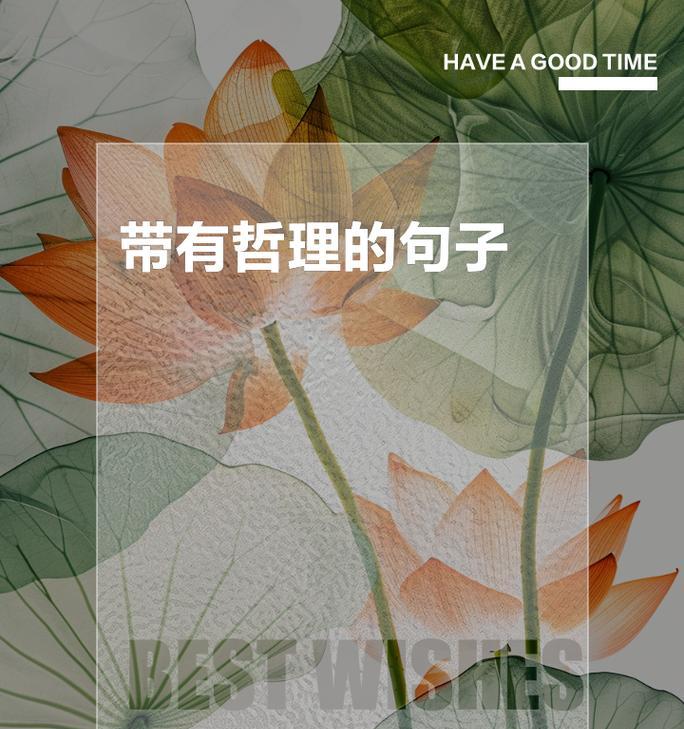 生命的瑰宝（那些教会我爱的人、事、物）