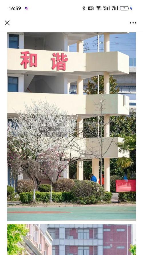 花坛里的故事（校园一角，学生们的心灵之家）