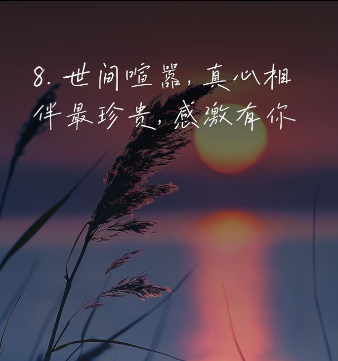 在生命的路上，我们永远不孤单（在生命的路上，我们永远不孤单）