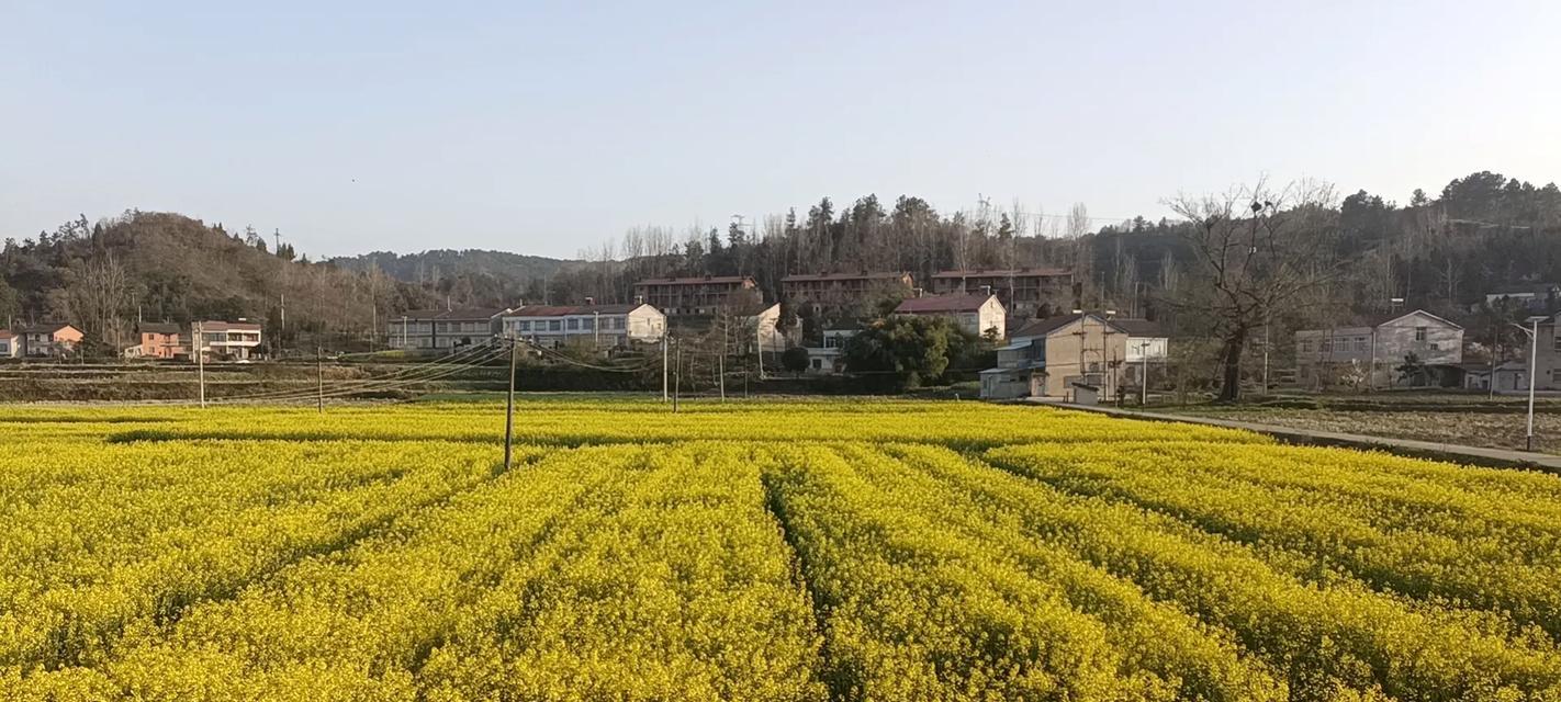 故乡美景（神秘的故事）