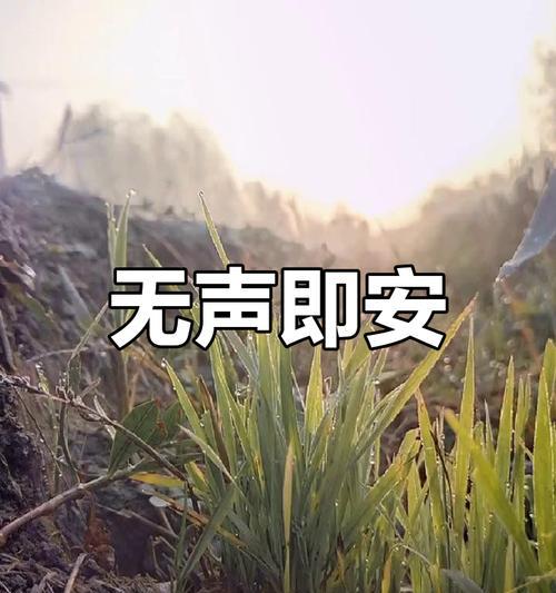 无声之胜——一个女孩的故事（用坚持与信念在无声中迎接胜利）
