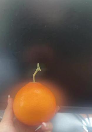 我的追求