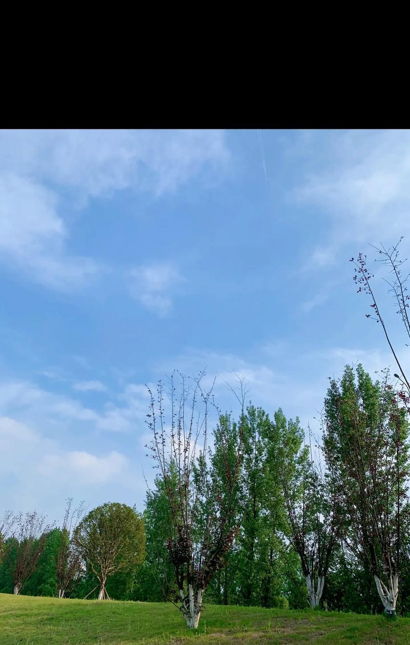 我爱大自然——一次与野生动物的邂逅（静默、宁静与美好）