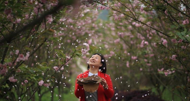 孤独旅行的意义，或者说它的缺失（孤独旅行的意义，或者说它的缺失）