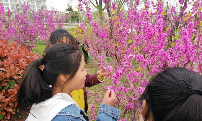 与众不同的那个我（一个人的孤独和融入）
