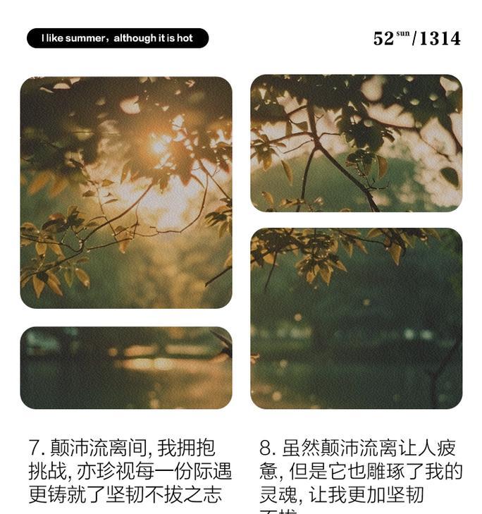学会坚强勇敢（自信与毅力的成长之路）