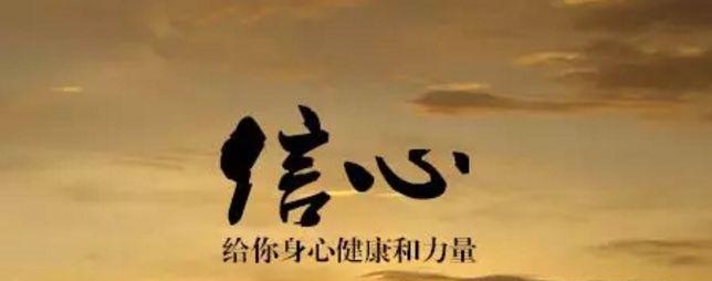 胜利的信念（青年教练的复出之路）