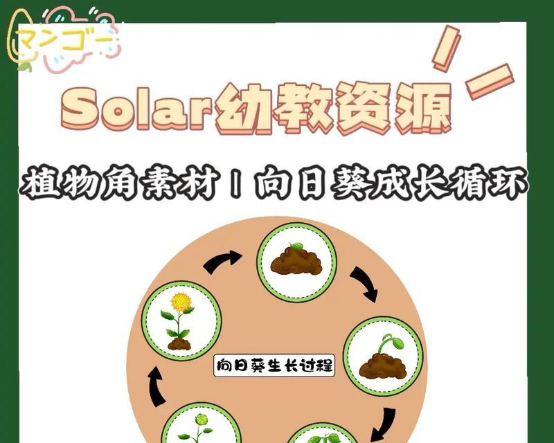 向日葵的成长历程（一朵向日葵的奋斗史）