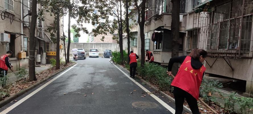 社区志愿者卫生行动（打扫社区垃圾，共建美好家园）