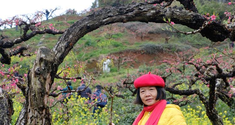 阳光照耀下的成长（用心感受阳光，勇敢迎接未来）