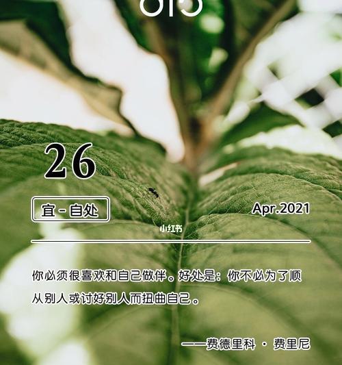 一位女子的人生旅程（一位女子的人生旅程）