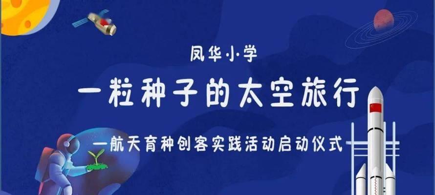 一颗种子的奇妙旅程（从生命的萌芽到茁壮成长）